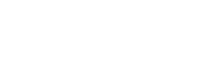 Hans Biomed